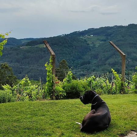 Casa Da Vina - Ribeira Sacra Vila Nogueira De Ramuin Exterior foto