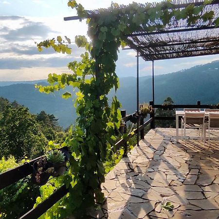 Casa Da Vina - Ribeira Sacra Vila Nogueira De Ramuin Exterior foto