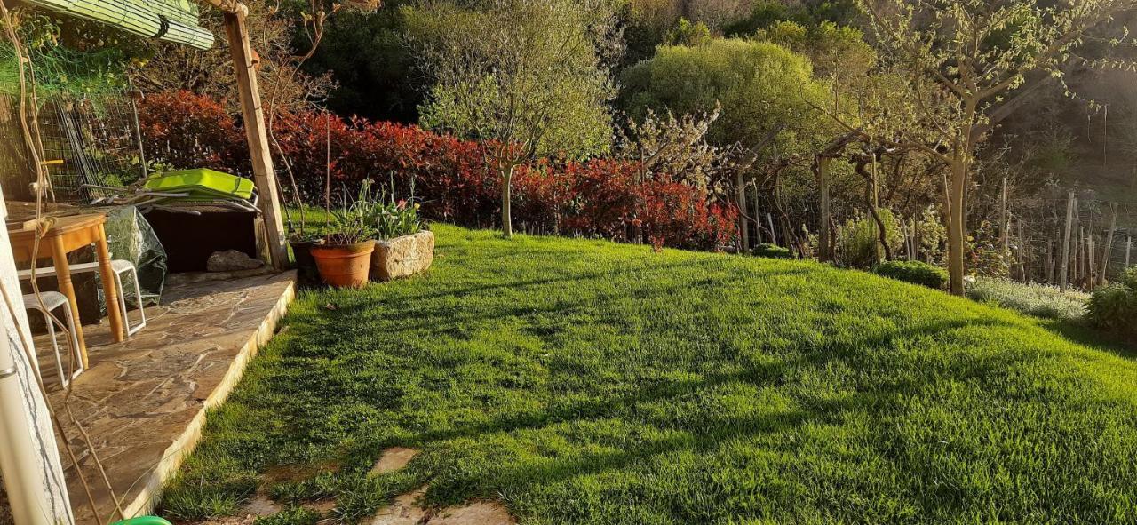 Casa Da Vina - Ribeira Sacra Vila Nogueira De Ramuin Exterior foto