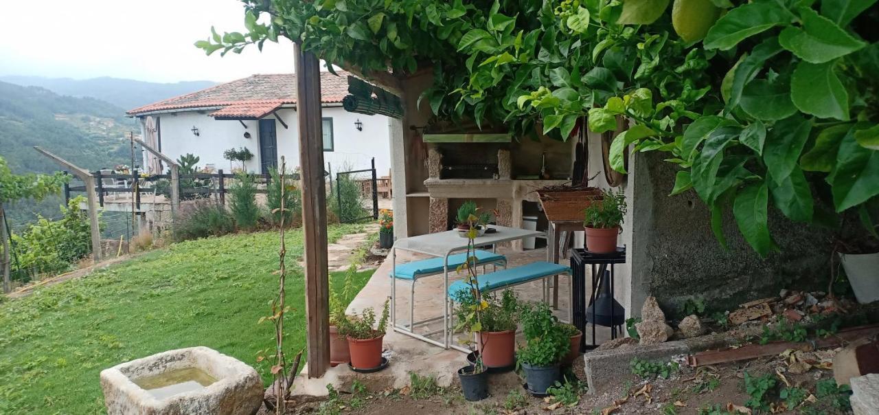 Casa Da Vina - Ribeira Sacra Vila Nogueira De Ramuin Exterior foto