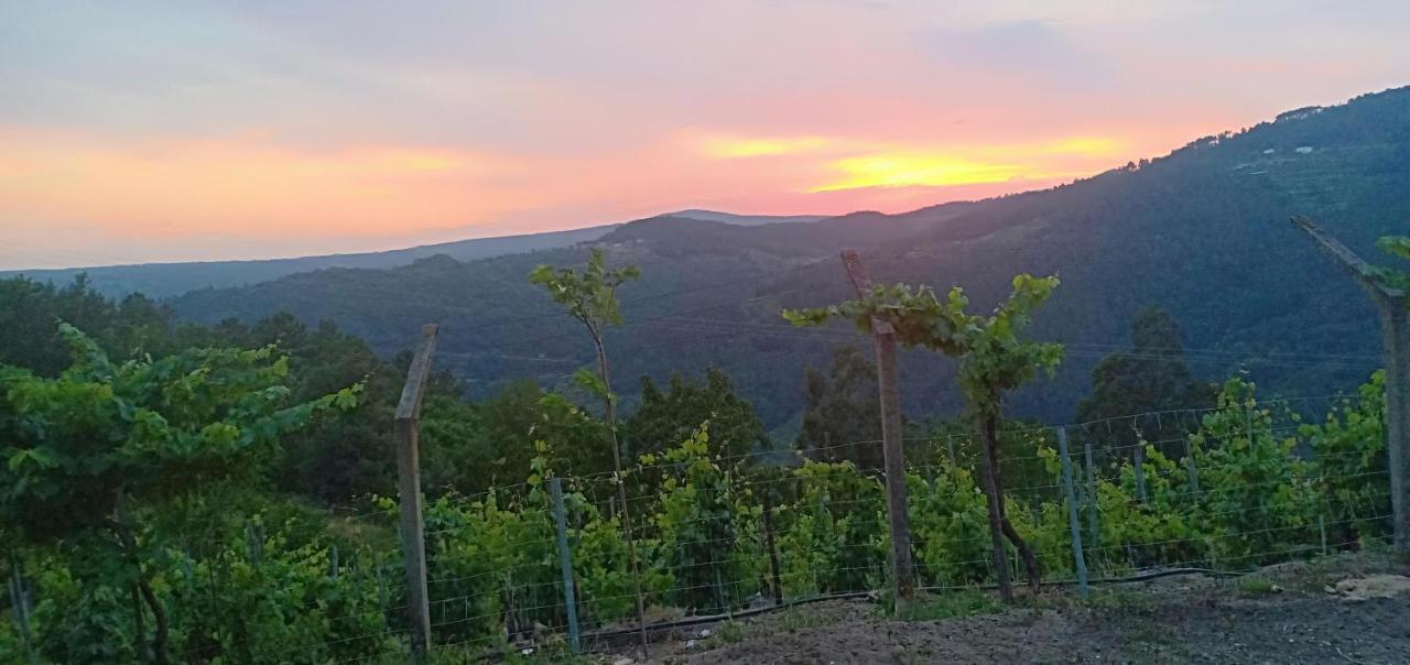 Casa Da Vina - Ribeira Sacra Vila Nogueira De Ramuin Exterior foto