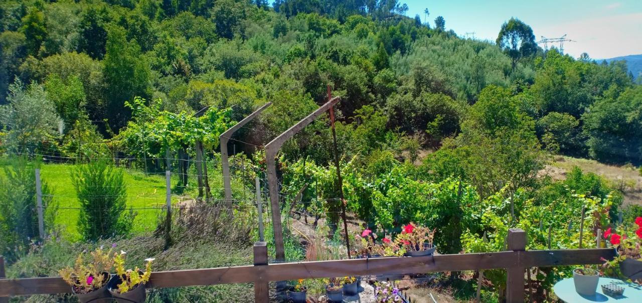 Casa Da Vina - Ribeira Sacra Vila Nogueira De Ramuin Exterior foto